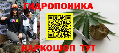 хмурый Кимры