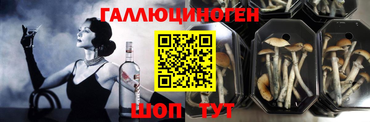 Галлюциногенные грибы прущие грибы Михайловка
